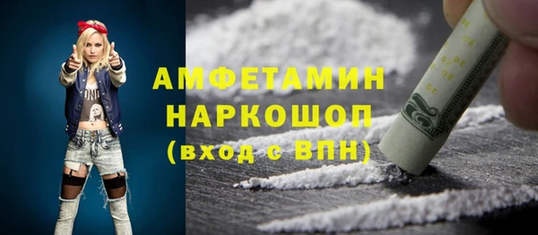 молекула духа Пестово