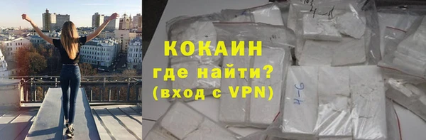 молекула духа Пестово