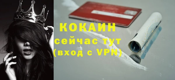 ГАЛЛЮЦИНОГЕННЫЕ ГРИБЫ Пересвет