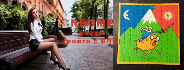 молекула духа Пестово