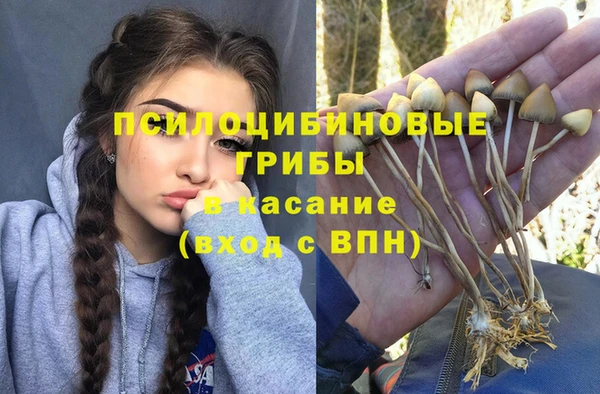 молекула духа Пестово