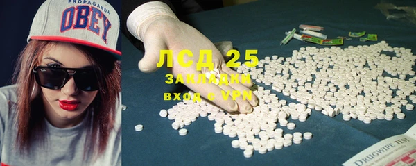 ГАЛЛЮЦИНОГЕННЫЕ ГРИБЫ Пересвет