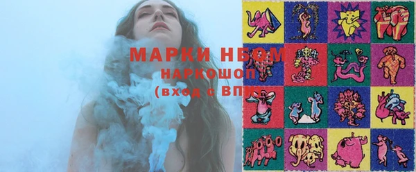 молекула духа Пестово