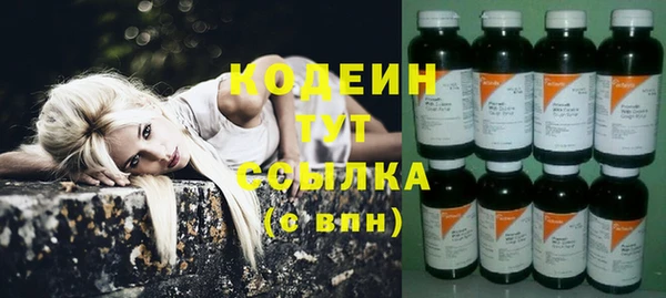 ГАЛЛЮЦИНОГЕННЫЕ ГРИБЫ Пересвет