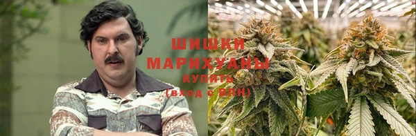молекула духа Пестово
