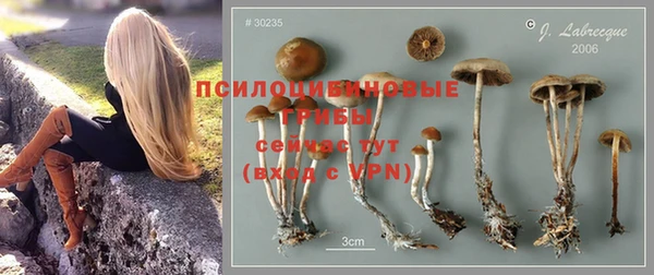 гидропоника Переславль-Залесский