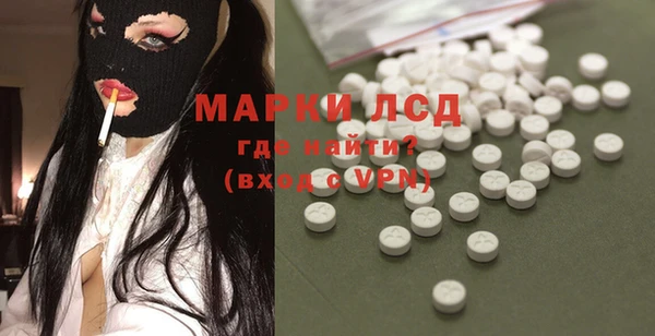 молекула духа Пестово