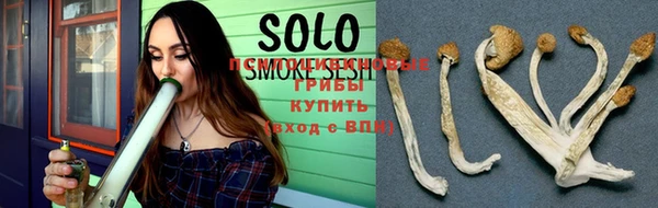 ГАЛЛЮЦИНОГЕННЫЕ ГРИБЫ Пересвет
