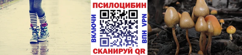 Галлюциногенные грибы MAGIC MUSHROOMS  где найти наркотики  Яблоновский 
