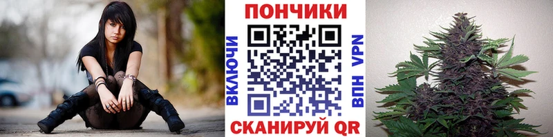 Конопля сатива  цены   Яблоновский 